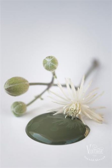 Hovedbilde Olive Green - 100ml 