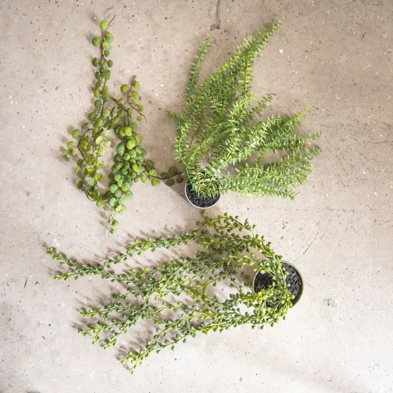 Henge plante 58cm