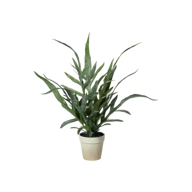Bregne i potte 46cm