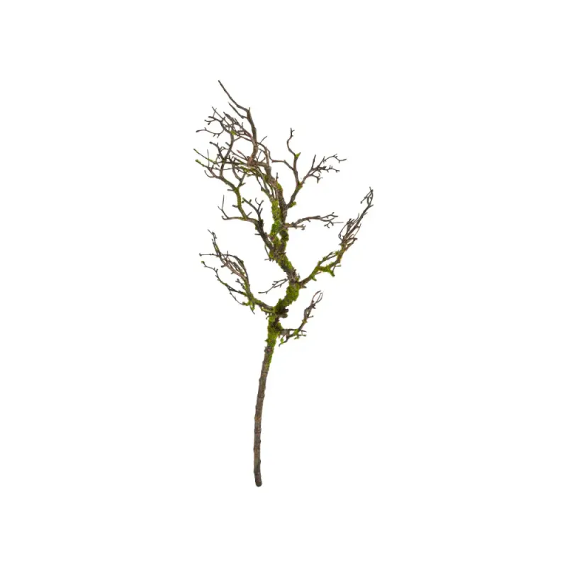 Mose kvist 90cm 