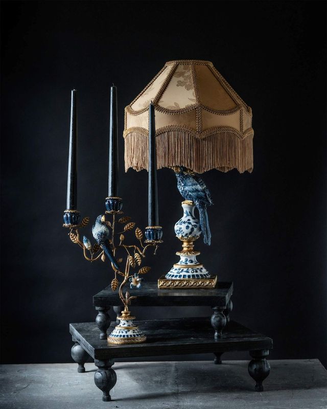 Lampefot papegøye Blå