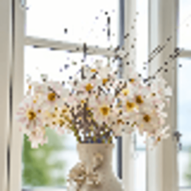 Hovedbilde Cosmos på stilk 45cm