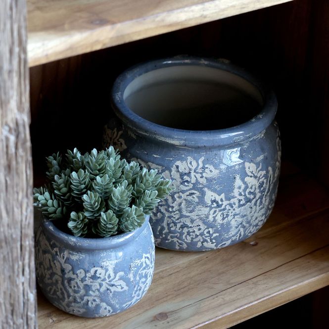 Hovedbilde Fleur Plante