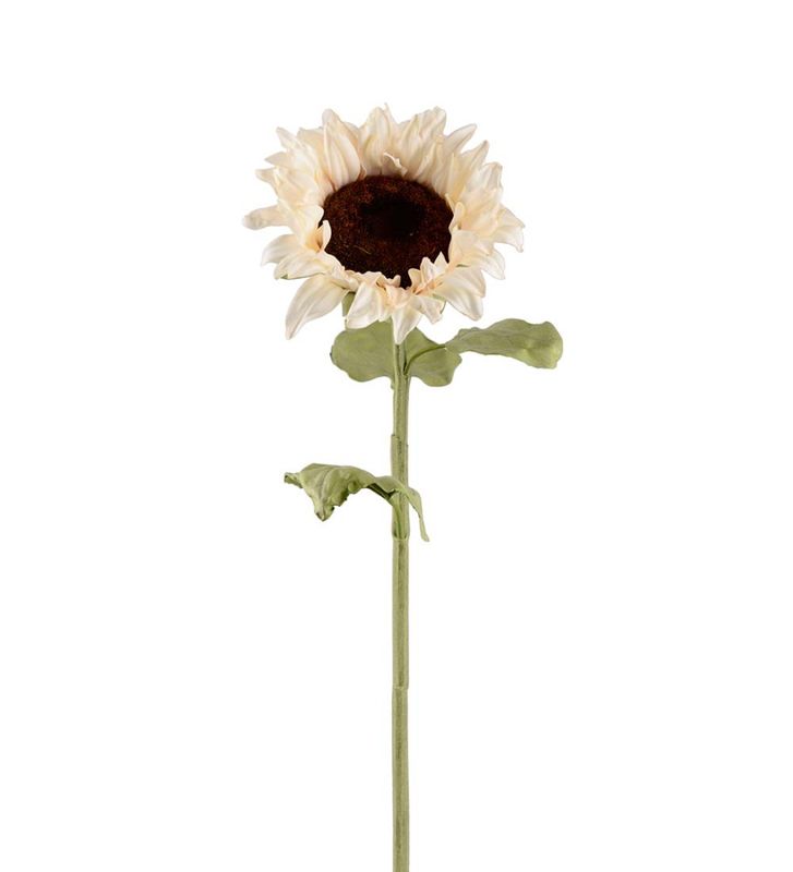 Solsikke 60 cm