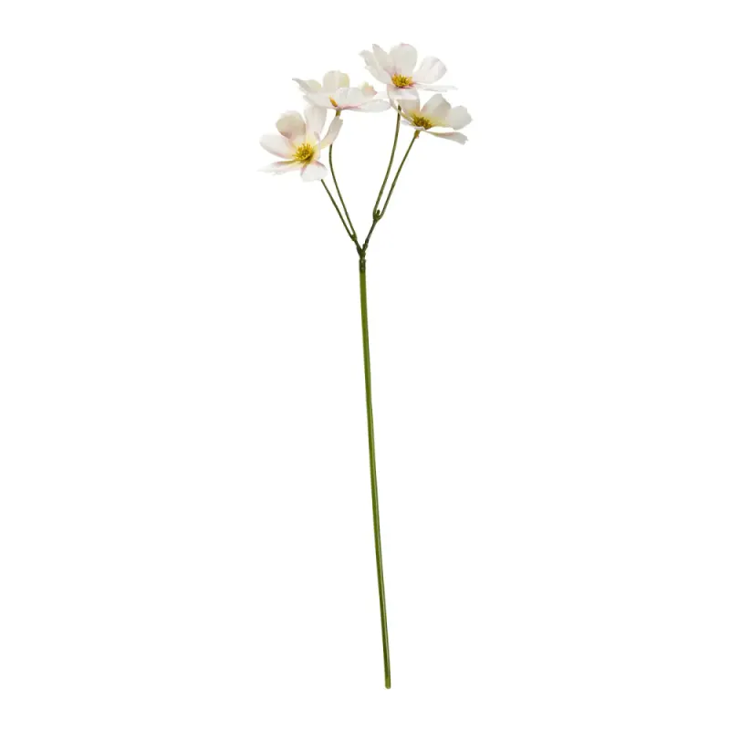 Cosmos på stilk 45cm